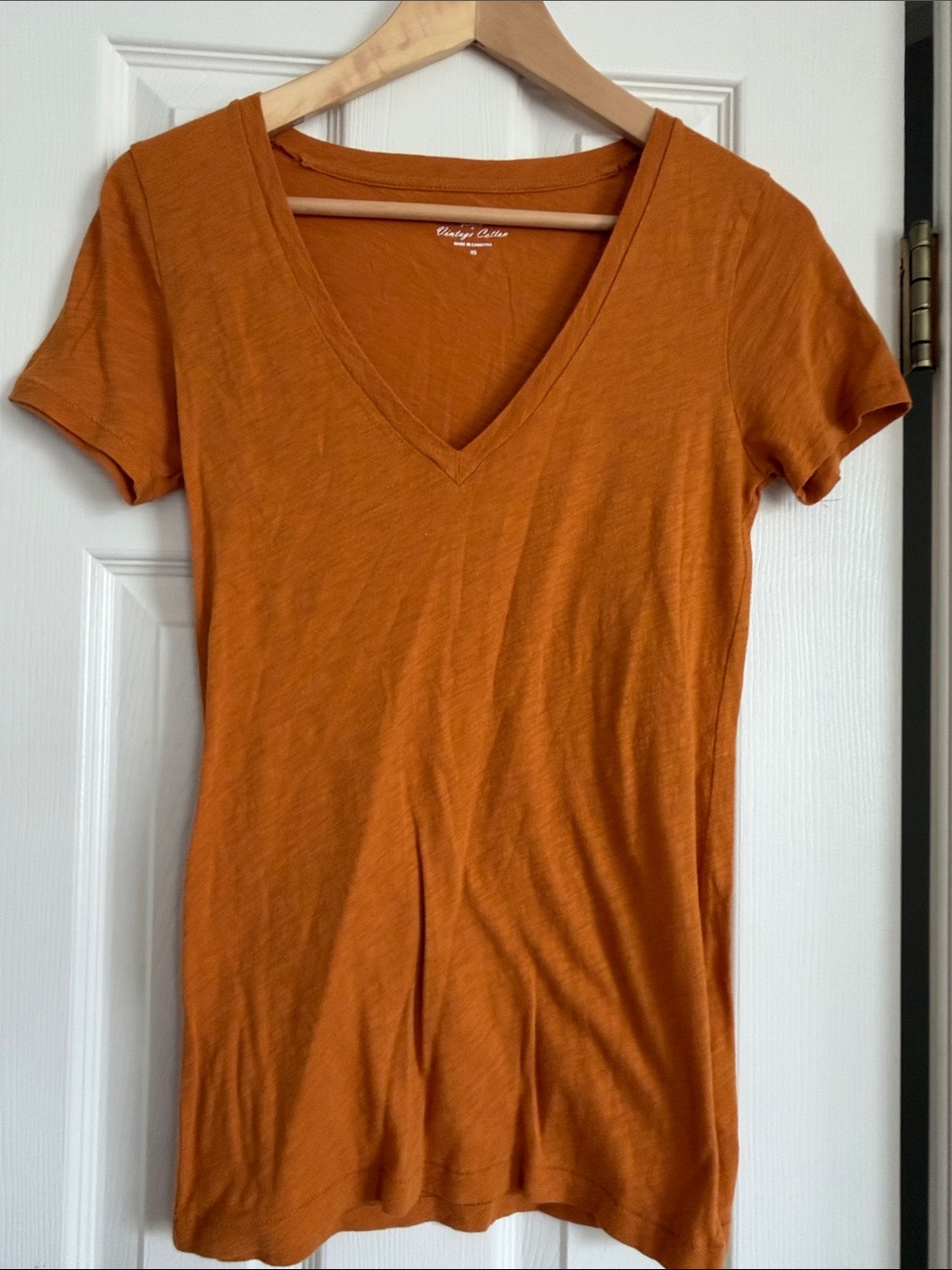 J. Crew Women's V-Neck Tee in Burnt Orange